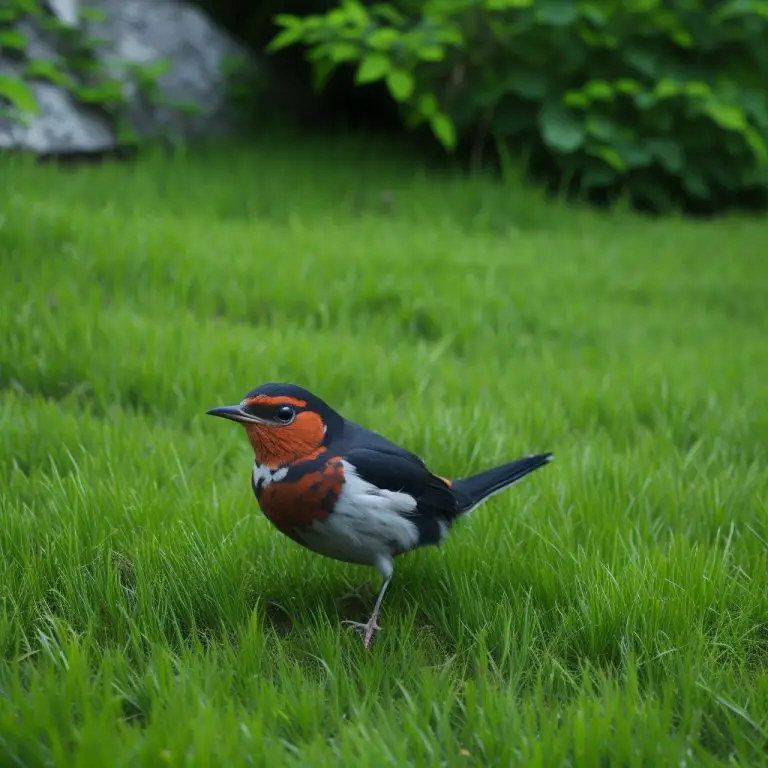 Imágenes del monarca alado del cielo, el rey de los pájaros. Descubre su belleza y majestuosidad en esta fotografía.