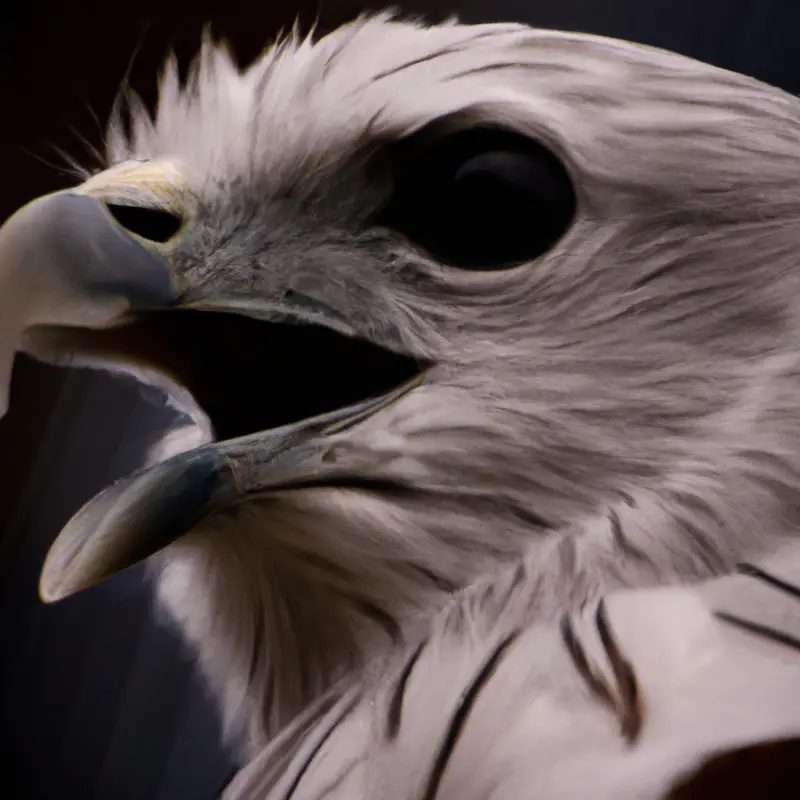 Águila Arpía protegida