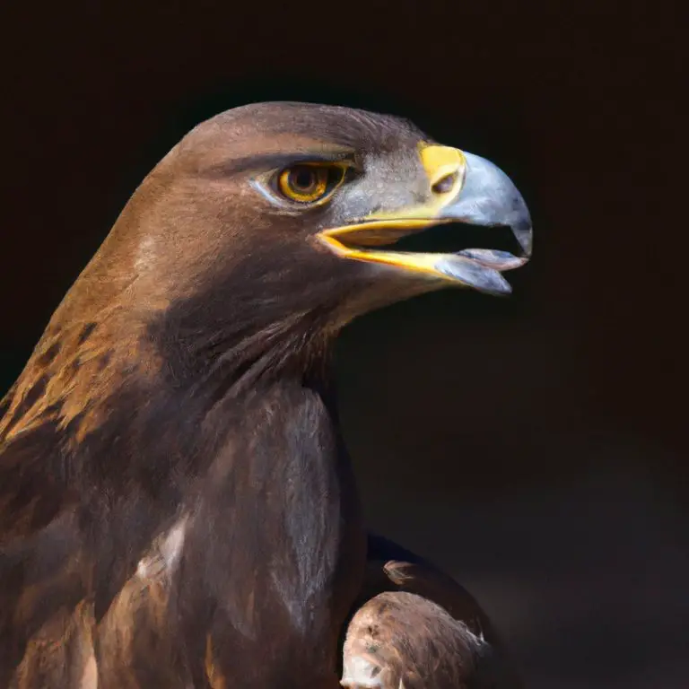 Águila Real Majestuosa.