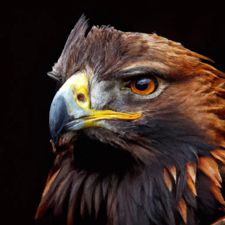 Águila Real Volando.