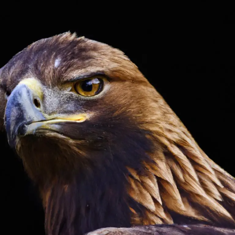 Águila Real volando.