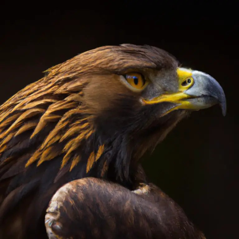 Águila Real volando.