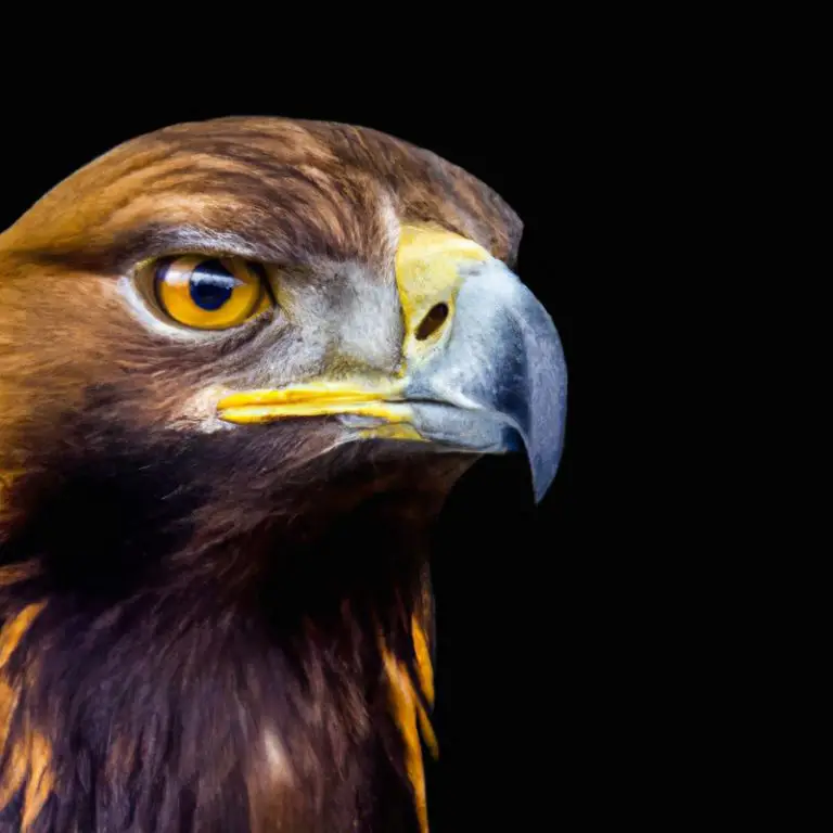 Águila Real volando.