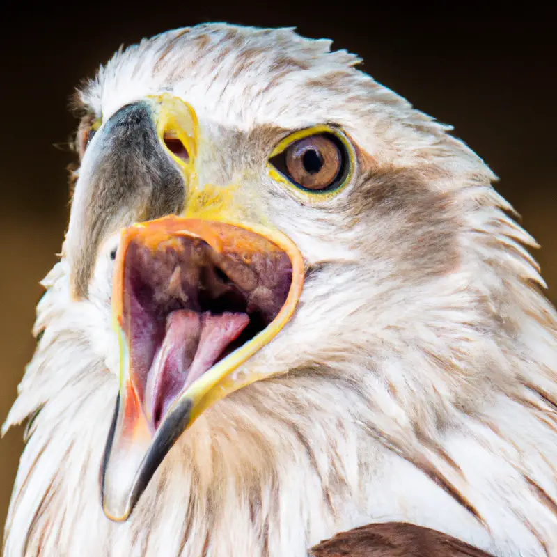 Águila anidando.