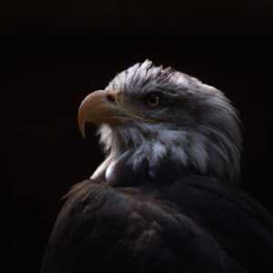 Aguila arpía majestuosa.
