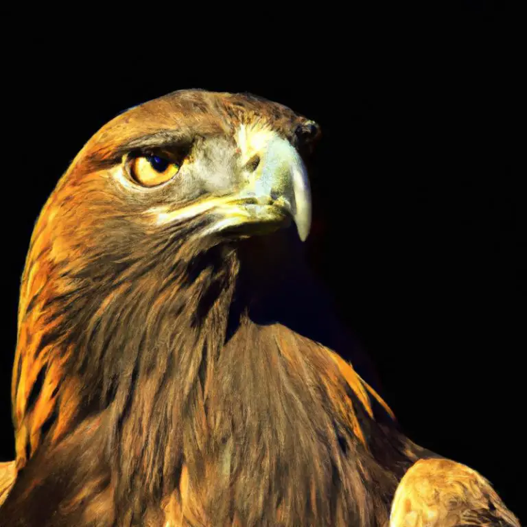 Águila capturando presa.