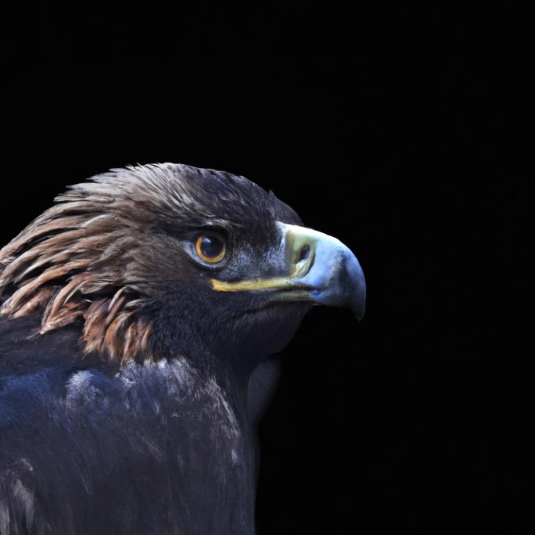 Águila cazadora.