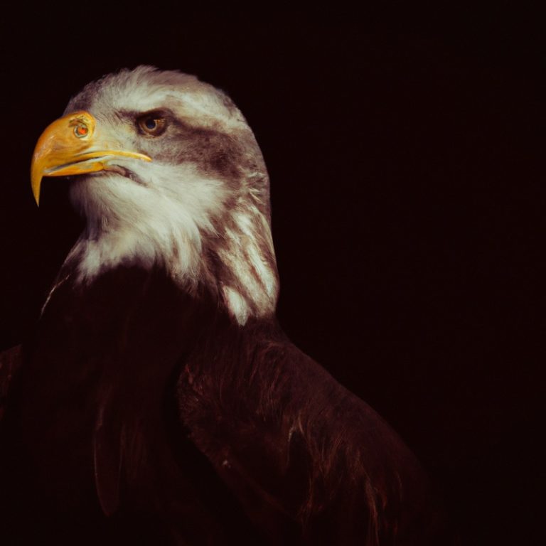 Águila cazando.