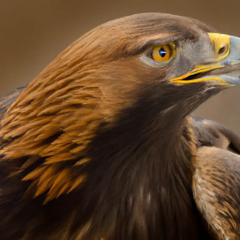 Águila defendiendo.