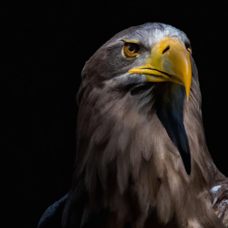 Águila en riesgo.