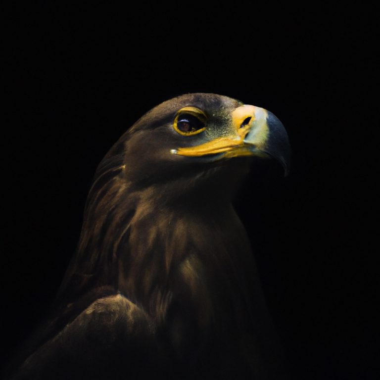 Águila nocturna.