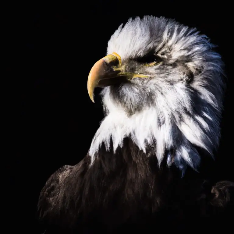 Águila posando en rama.