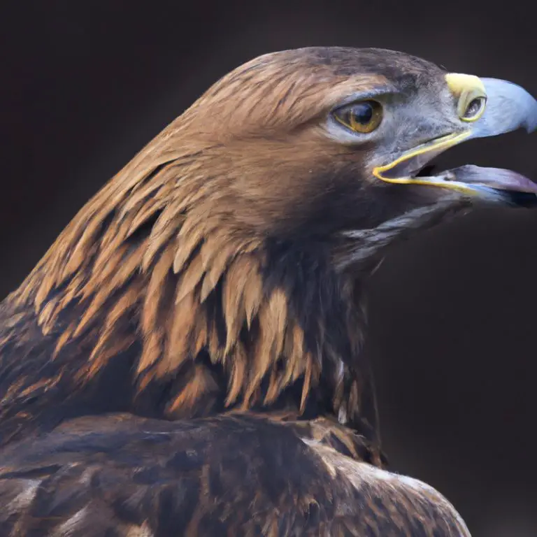 Águila real cazando.