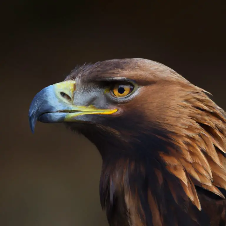 Águila real cazando.