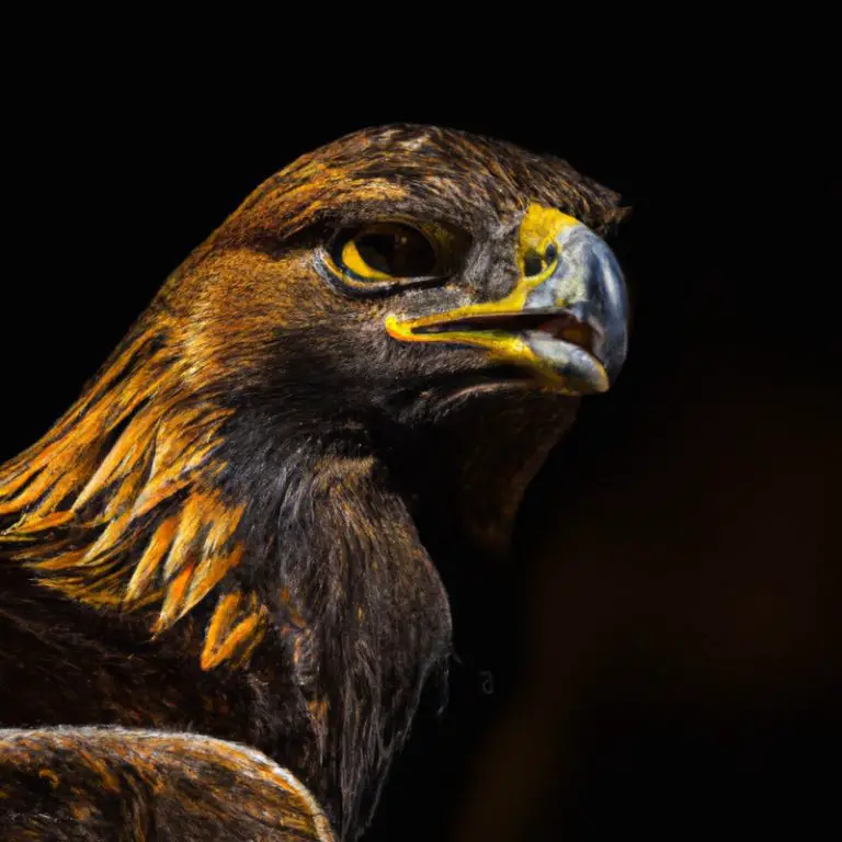 Águila real cazando.