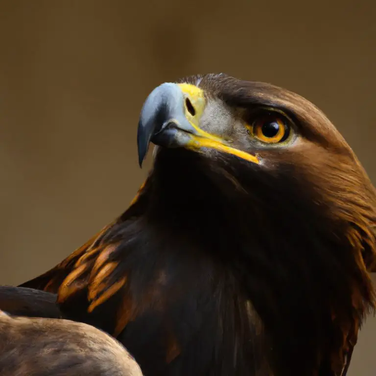 Águila real con su cría.