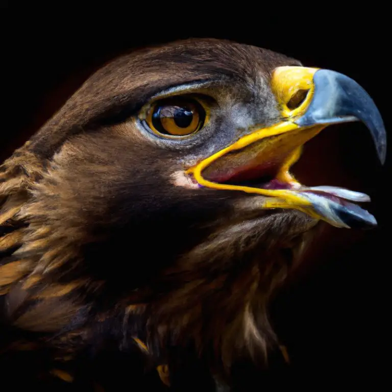 Águila real en vuelo.