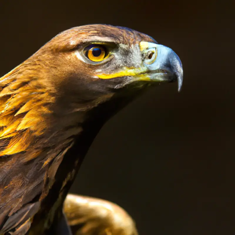 Águila real majestuosa.