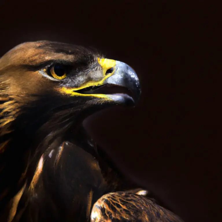 Águila real volando.