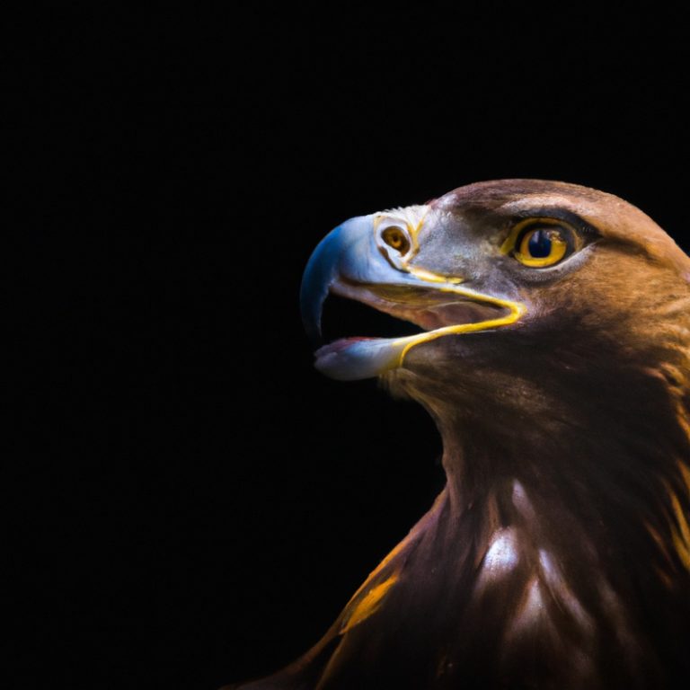 Águila real volando.