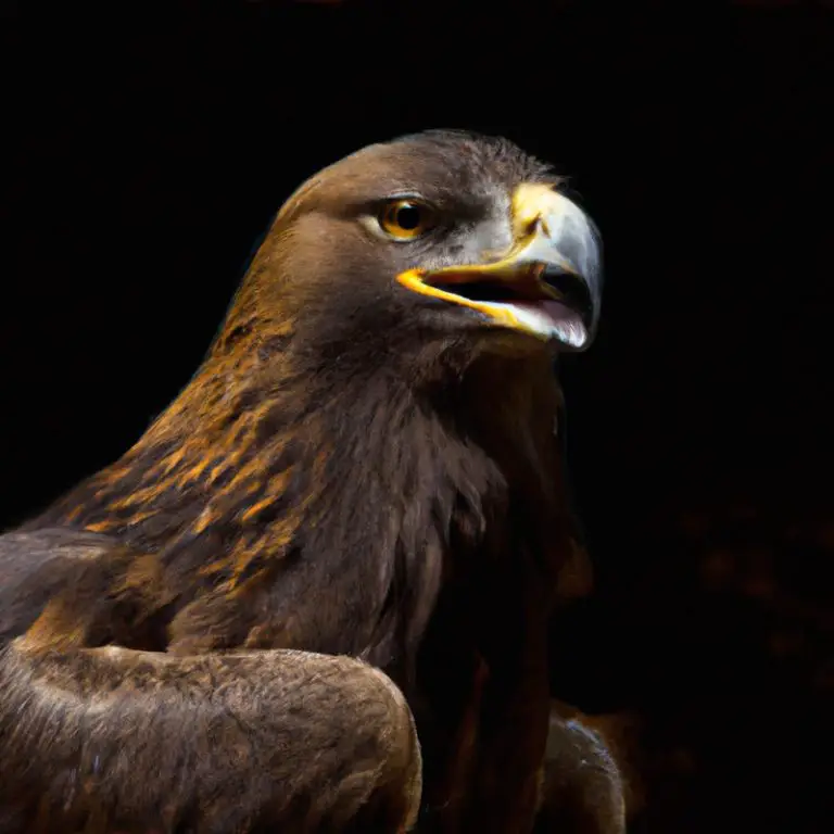 Águila real volando.