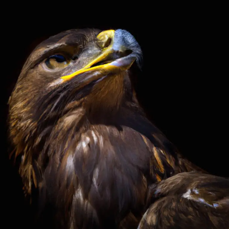 Águila real volando.