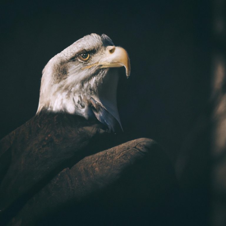 Águila volando