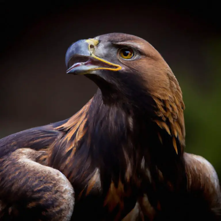 Aguila volando alto.