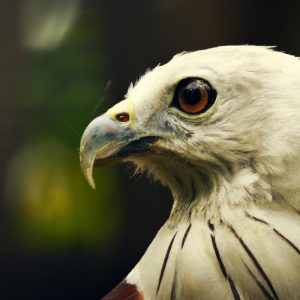 Aguilas y Acuicultura