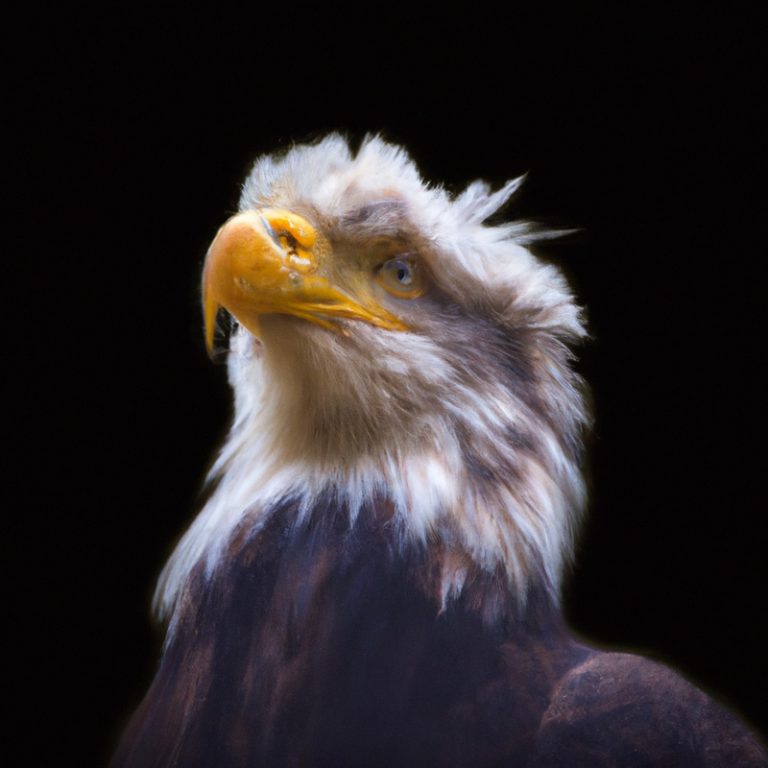 Nido águila protegiendo