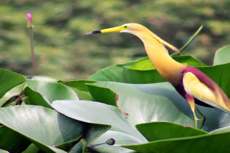 Águila calva majestuosa.