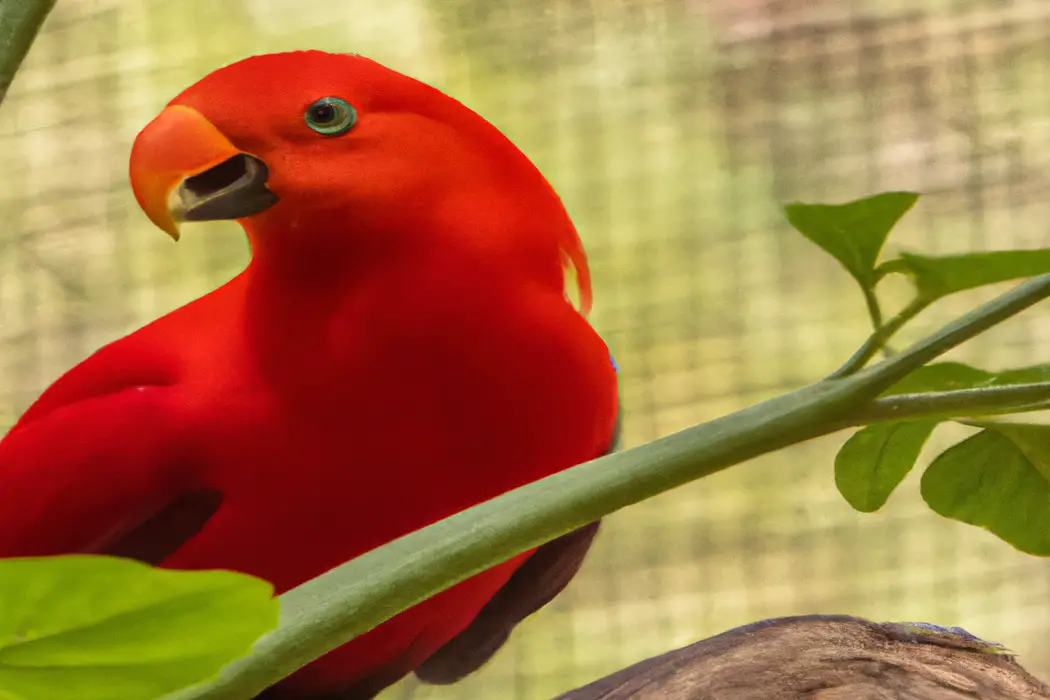 Águila calva majestuosa