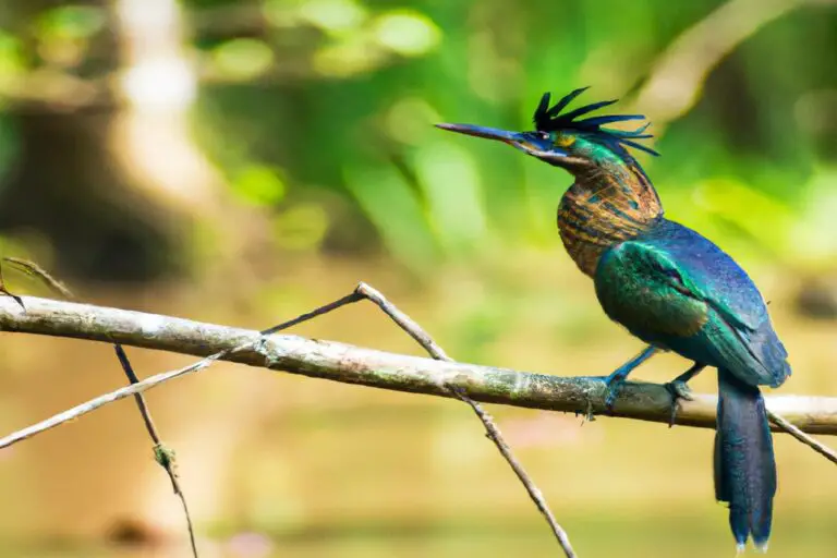 Aves Volando.