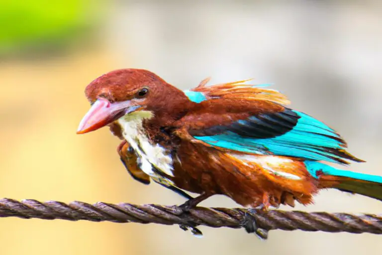 Aves cantoras exuberantes.