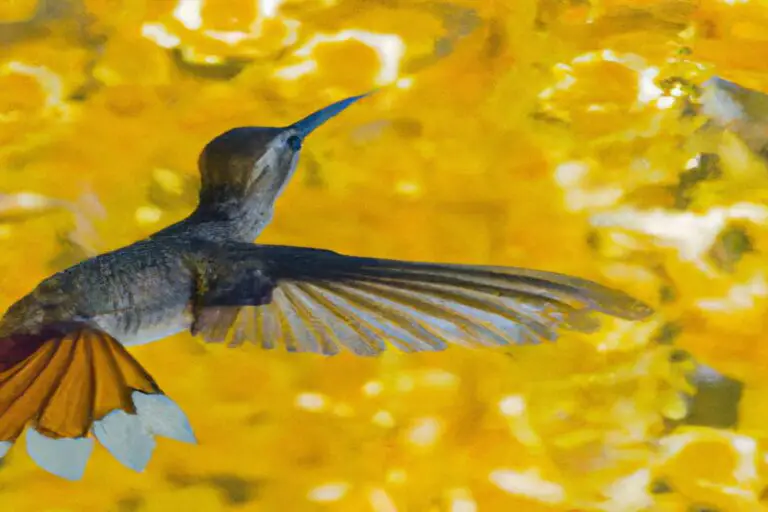 Colibríes anidando.