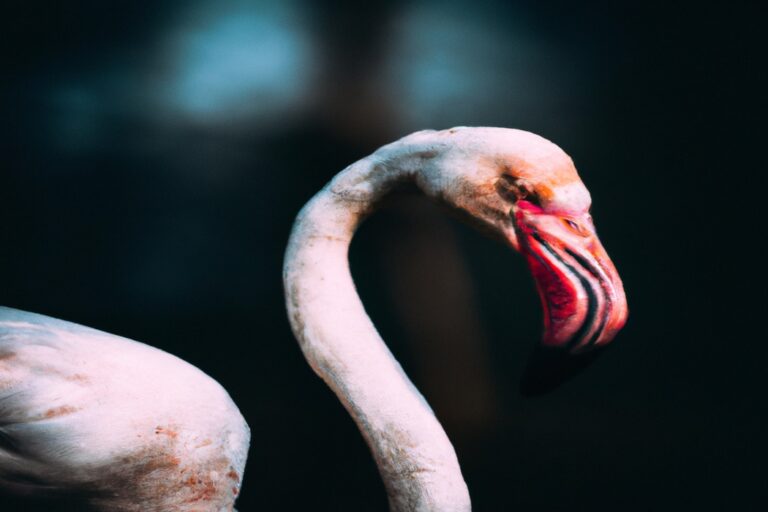 Flamencos rosados volando.