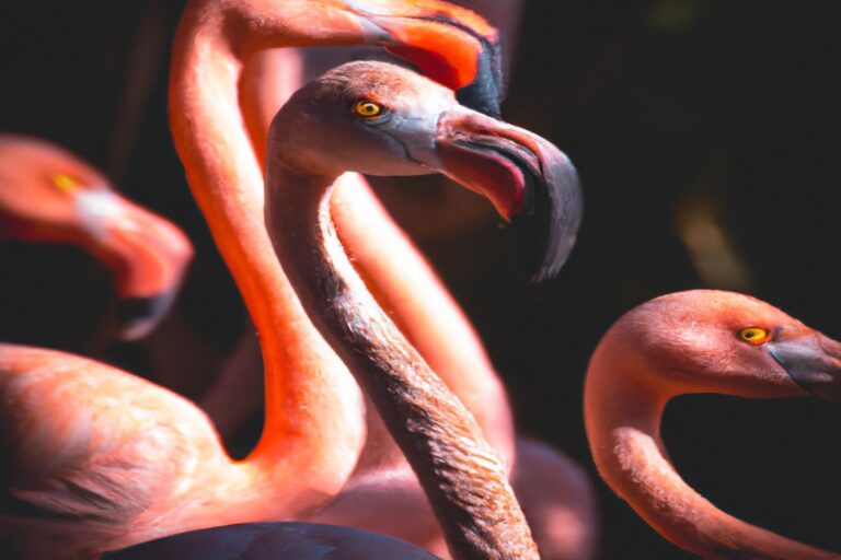 Flamencos rosados volando.