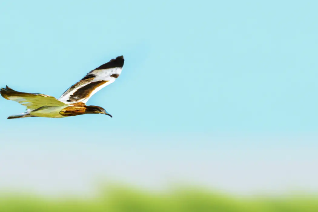 Grupo de aves volando.