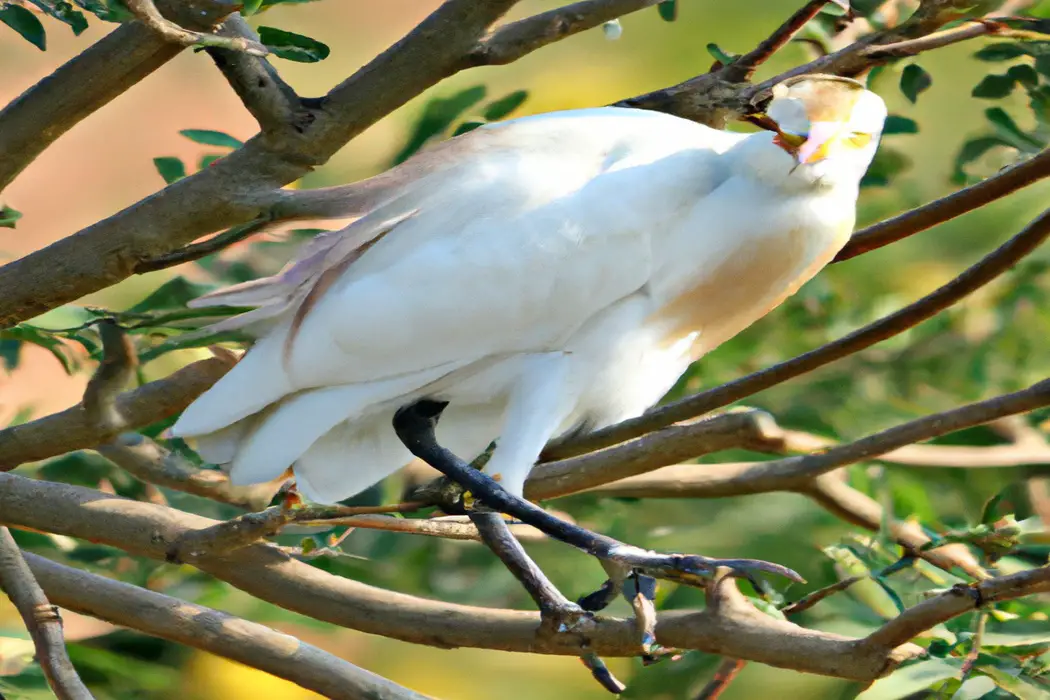 Pájaros volando